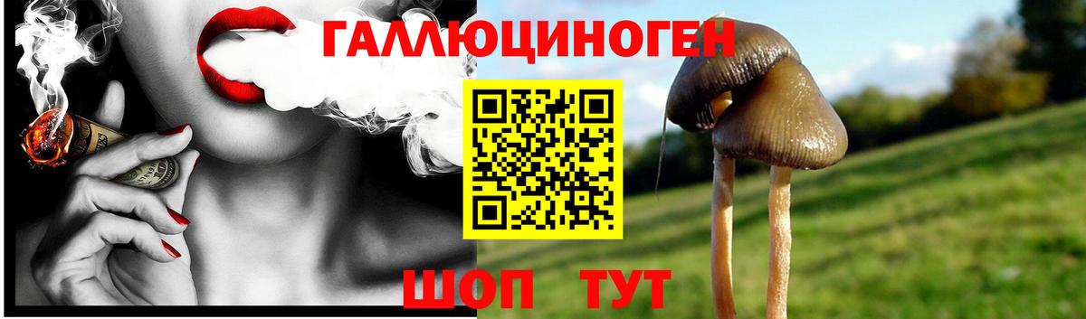 Сертолово  Псилоцибиновые грибы Cubensis  купить  сайты  Вход с VPN 